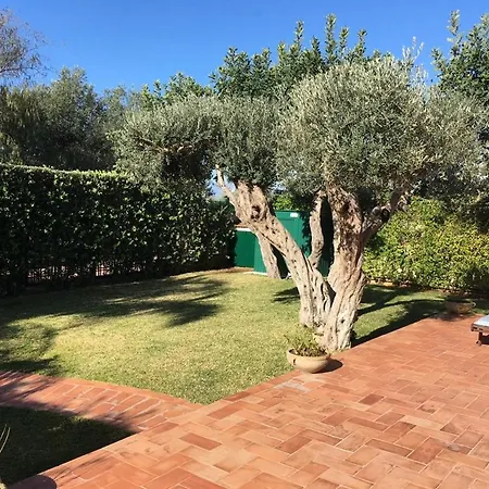 Chiso Immersa Nel Verde A Due Passi Dal Mare Villa